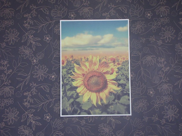 RCM Vilas - Studio Flowers 603
