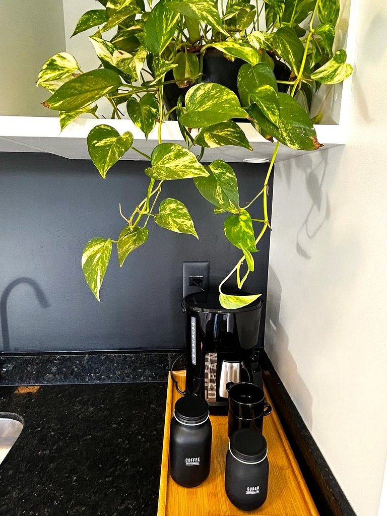 RCM Vilas - Studio 306